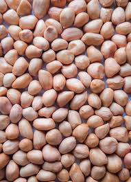 Bold Peanuts Raw Kernels