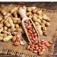 Java Peanuts